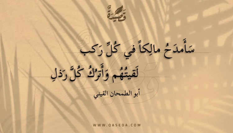 قصيدة سأمدح مالكا في كل ركب