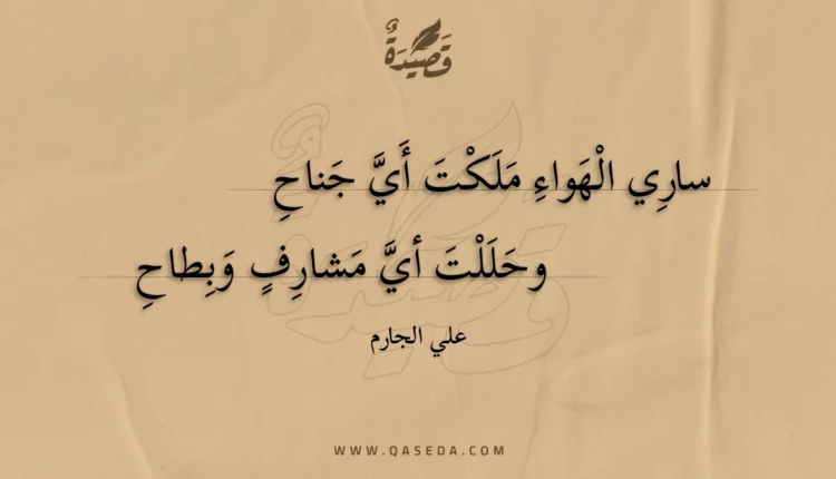 قصيدة ساري الهواء ملكت أي جناح