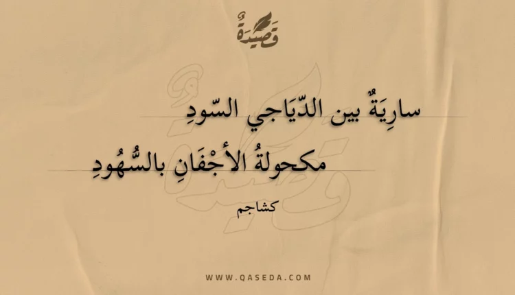 قصيدة سارية بين الدياجي السود