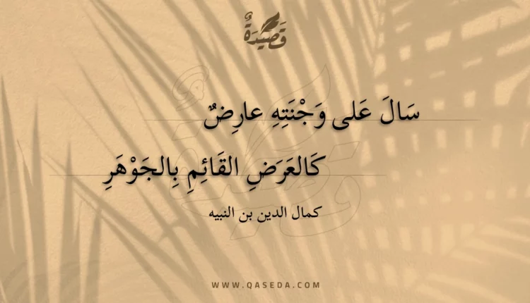 قصيدة سال على وجنته عارض