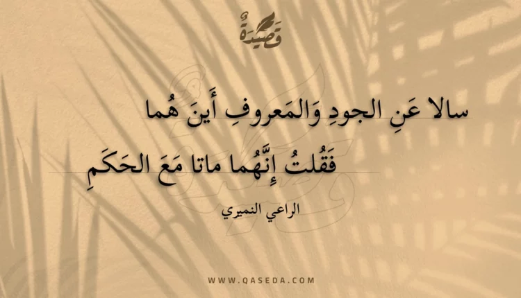 قصيدة سالا عن الجود والمعروف أين هما