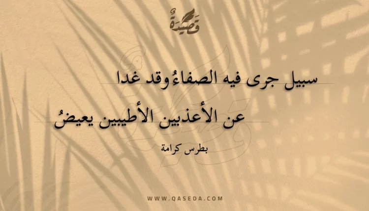 قصيدة سبيل جرى فيه الصفاء وقد غدا