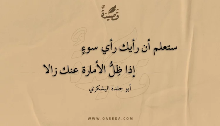 قصيدة ستعلم أن رأيك رأي سوء