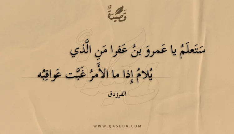 قصيدة ستعلم يا عمرو بن عفرا من الذي