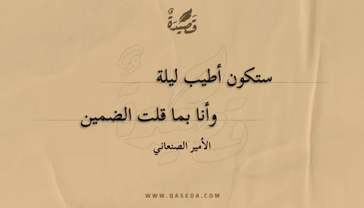 قصيدة ستكون أطيب ليلة