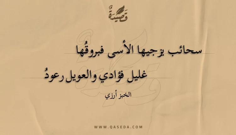 قصيدة سحائب يزجيها الأسى فبروقها
