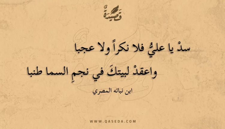 قصيدة سد يا علي فلا نكرا ولا عجبا