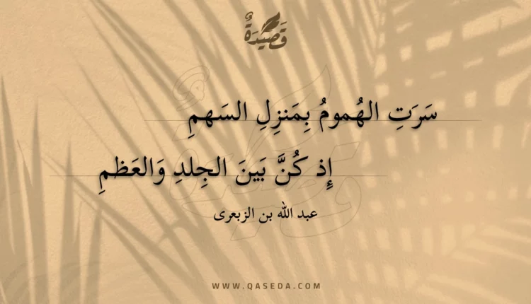 قصيدة سرت الهموم بمنزل السهم