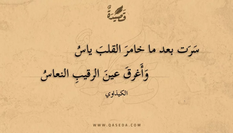 قصيدة سرت بعد ما خامر القلب ياس