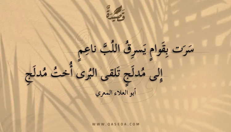 قصيدة سرت بقوام يسرق اللب ناعم
