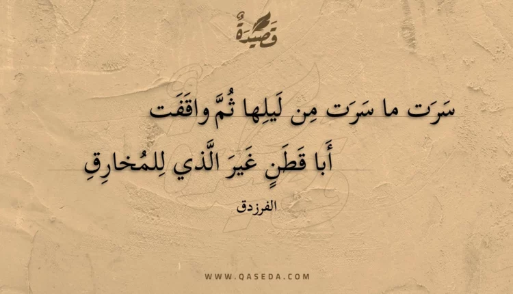 قصيدة سرت ما سرت من ليلها ثم واقفت
