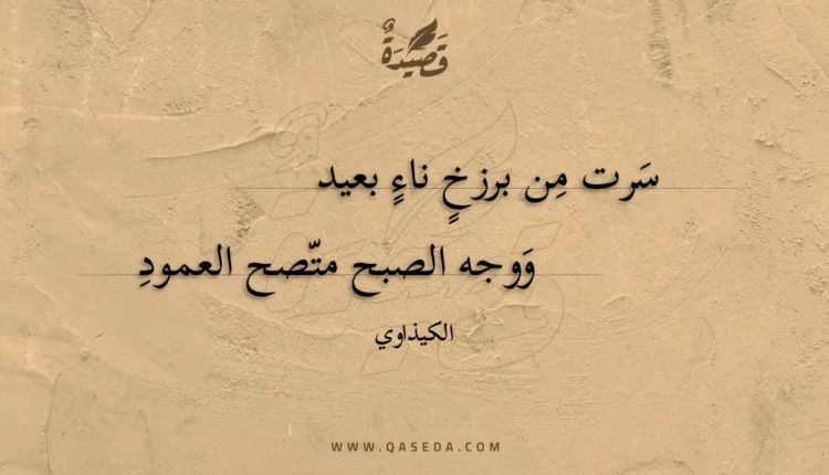 قصيدة سرت من برزخ ناء بعيد