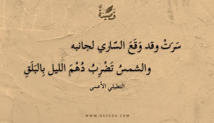 قصيدة سرت وقد وقع الساري لجانبه