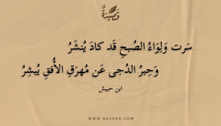 قصيدة سرت ولواء الصبح قد كاد ينشر