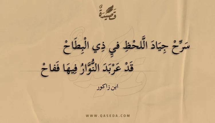 قصيدة سرح جياد اللحظ في ذي البطاح