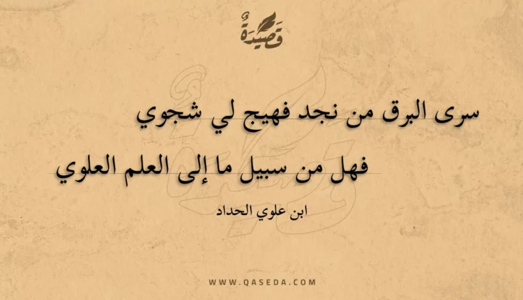 قصيدة سرى البرق من نجد فهيج لي شجوي
