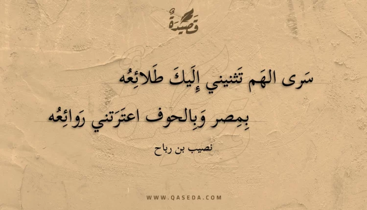 قصيدة سرى الهم تثنيني إليك طلائعه