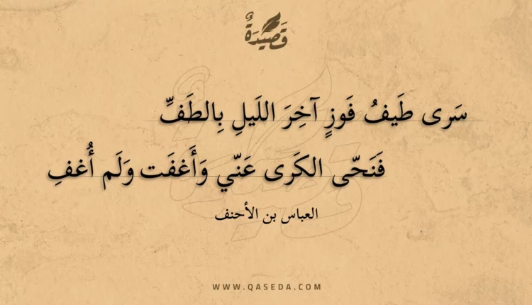 قصيدة سرى طيف فوز آخر الليل بالطف