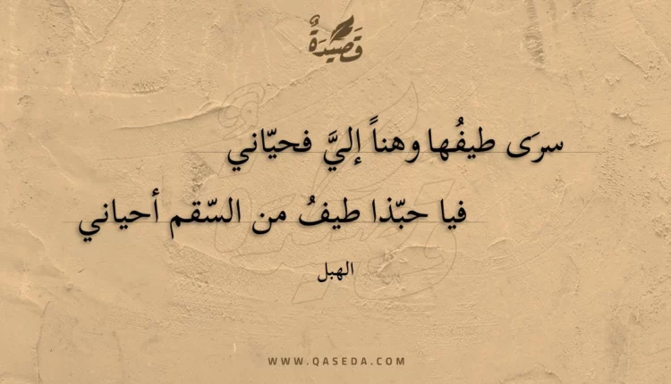 قصيدة سرى طيفها وهنا إلي فحياني