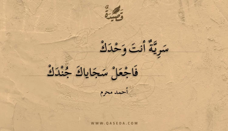 قصيدة سرية أنت وحدك