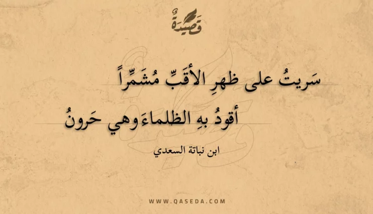 قصيدة سريت على ظهر الأقب مشمرا