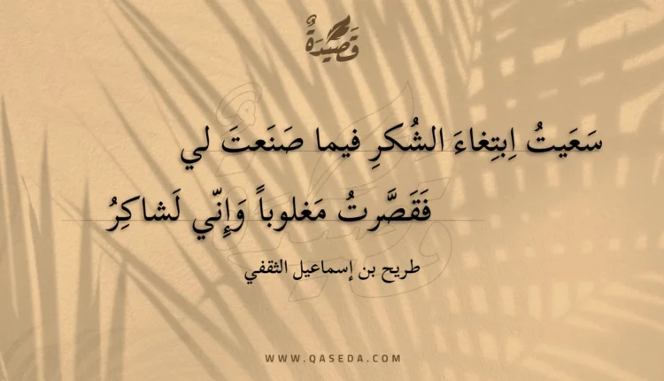قصيدة سعيت ابتغاء الشكر فيما صنعت لي