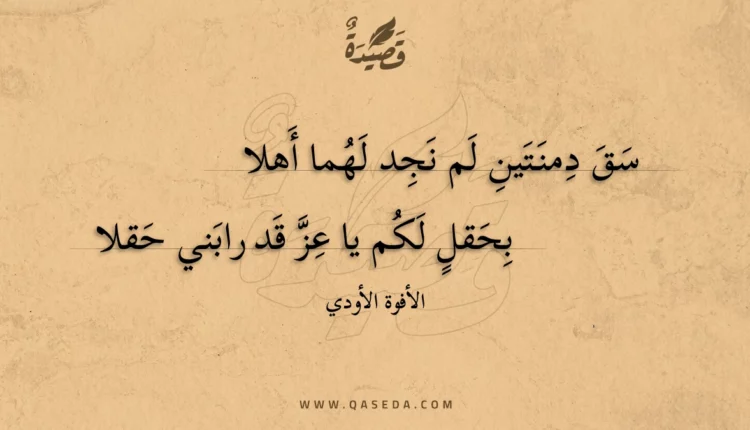 قصيدة سق دمنتين لم نجد لهُما أهلا