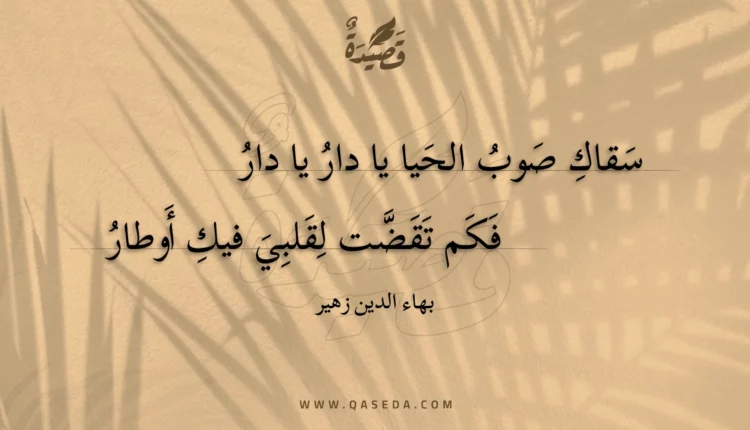 قصيدة سقاك صوب الحيا يا دار يا دار