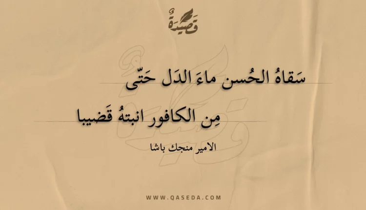 قصيدة سقاه الحسن ماء الدل حتى