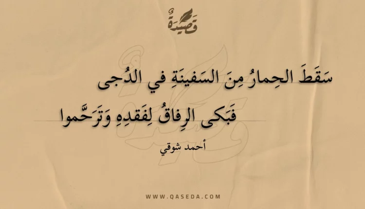 قصيدة سقط الحمار من السفينة في الدجى