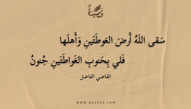 قصيدة سقى الله أرض الغوطتين وأهلها