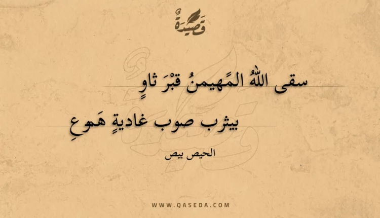 قصيدة سقى الله المهيمن قبر ثاو