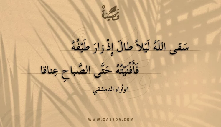 قصيدة سقى الله ليلا طال إذ زار طيفه