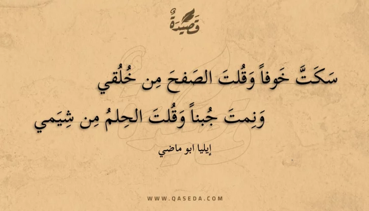 قصيدة سكت خوفا وقلت الصفح من خلقي