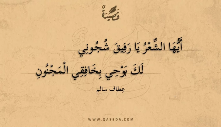 قصيدة سكرة الشعر