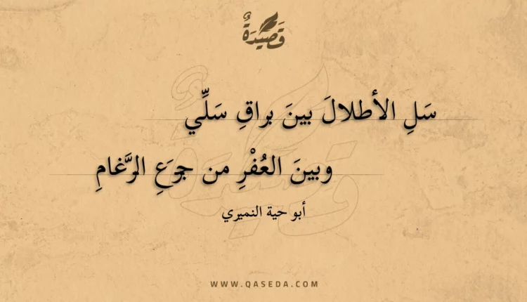 قصيدة سل الأطلال بين براق سلي
