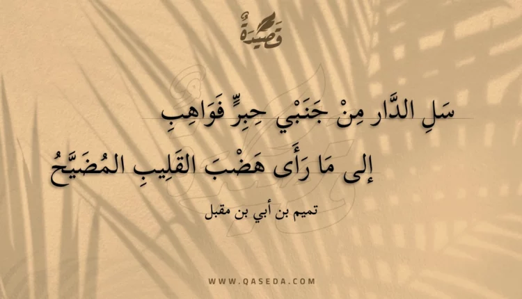 قصيدة سل الدار من جنبي حبر فواهب