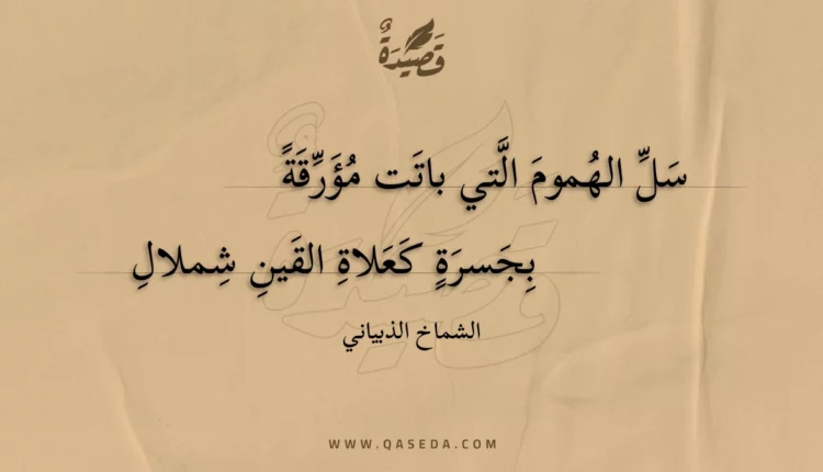 قصيدة سل الهموم التي باتت مؤرقة