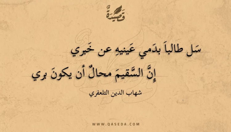 قصيدة سل طالبا بدمي عينيه عن خبري