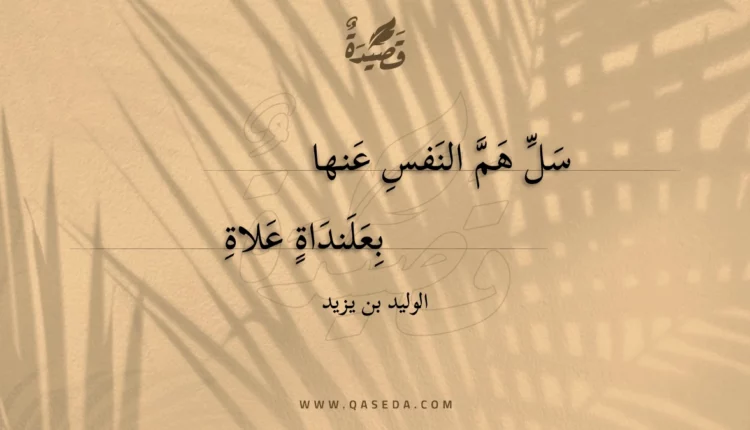قصيدة سل هم النفس عنها
