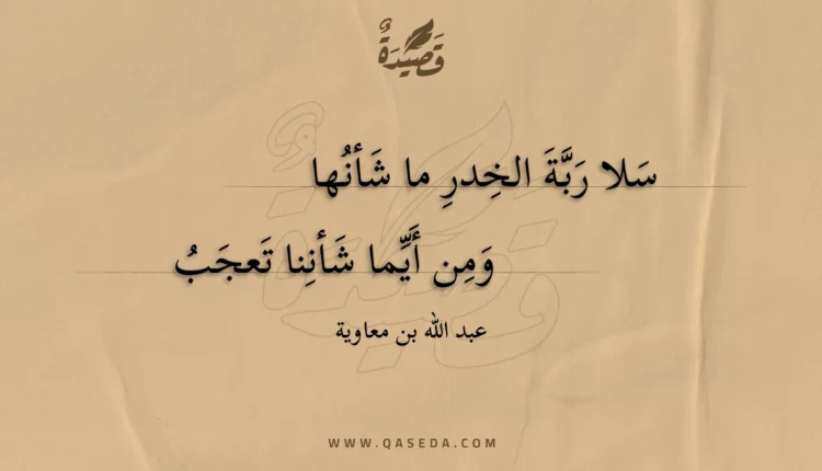 قصيدة سلا ربة الخدر ما شأنها