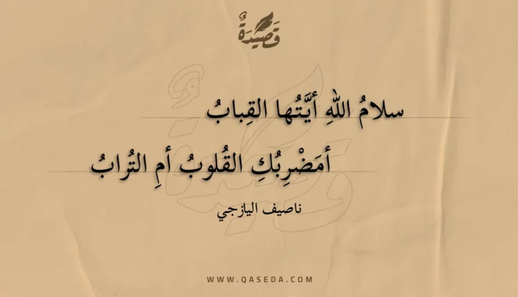 قصيدة سلام الله أيتها القباب