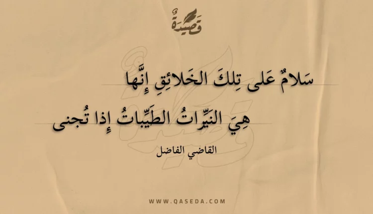قصيدة سلام على تلك الخلائق إنها