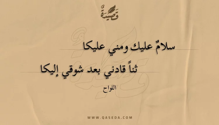 قصيدة سلام عليك ومني عليكا