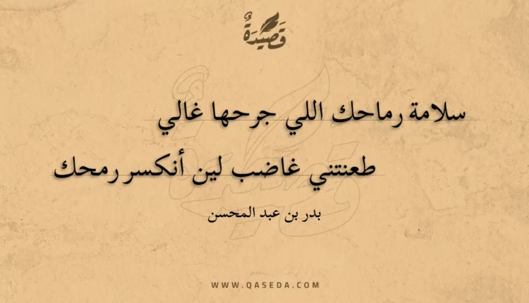 قصيدة سلامة رماحك