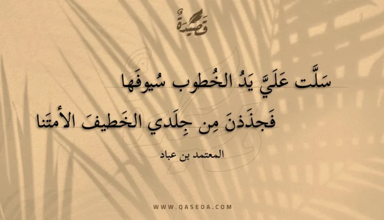 قصيدة سلت علي يد الخطوب سيوفها