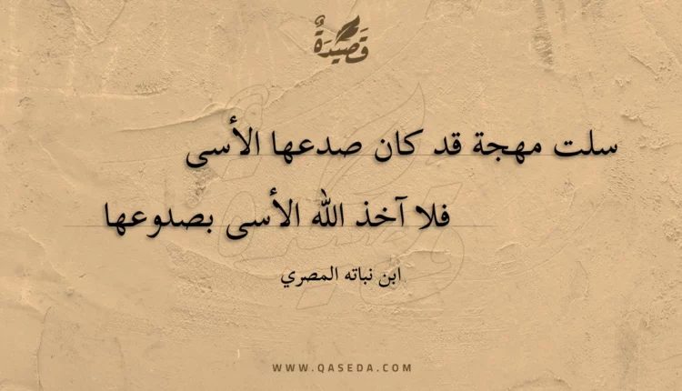 قصيدة سلت مهجة قد كان صدعها الأسى