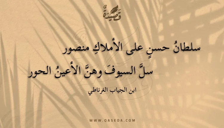 قصيدة سلطان حسن على الأملاك منصور