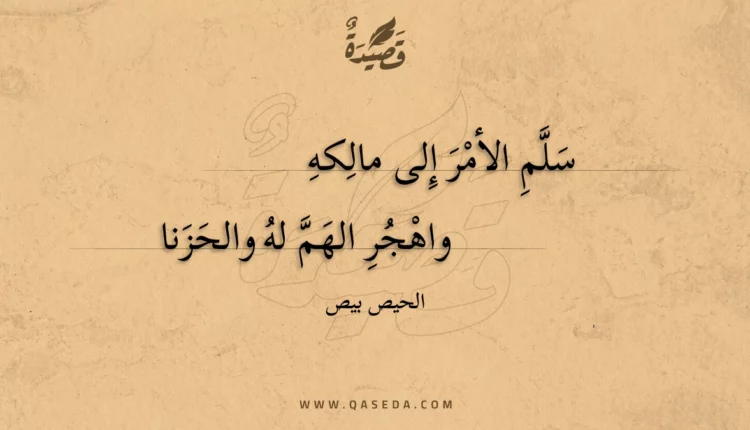 قصيدة سلم الأمر إلى مالكه