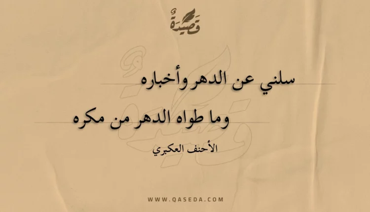 قصيدة سلني عن الدهر وأخباره
